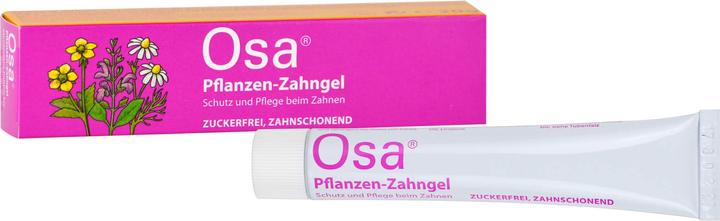 Osa Pflanzen-Zahngel