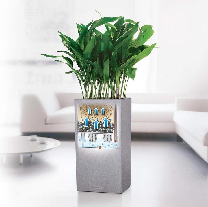 Image du produit Lechuza Canto Stone (40 cm)