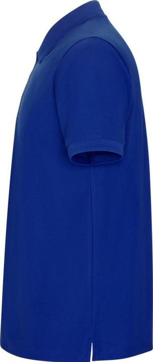 Immagine prodotto Alpinia Pegaso Premium Maglietta Polo Maniche Corte Uomo (4XL)