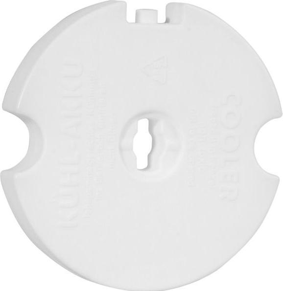 Actual product image APS Ice pack