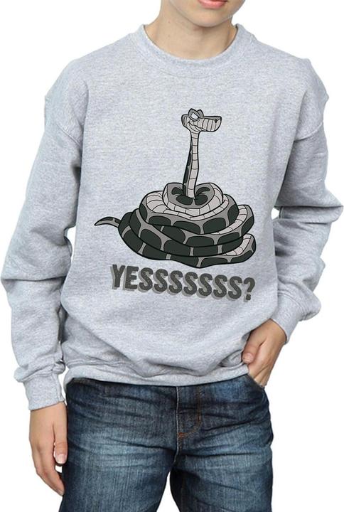 Produktbild Disney The Jungle Book Kaa Yesssss Sweatshirt Jungen (140, 146)