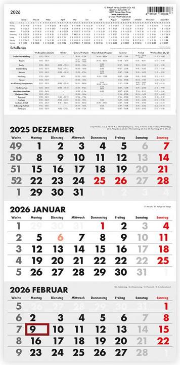 Immagine prodotto Calendario trimestrale Trtsch Calendario trimestrale 2026 (Tedesco)