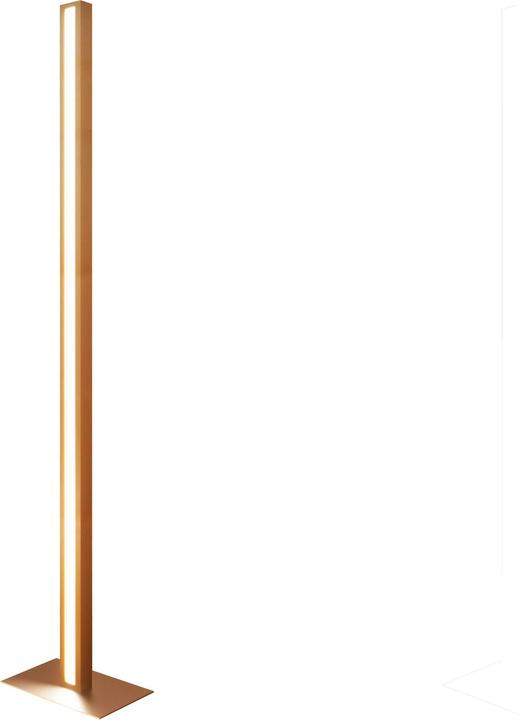 Ahorn