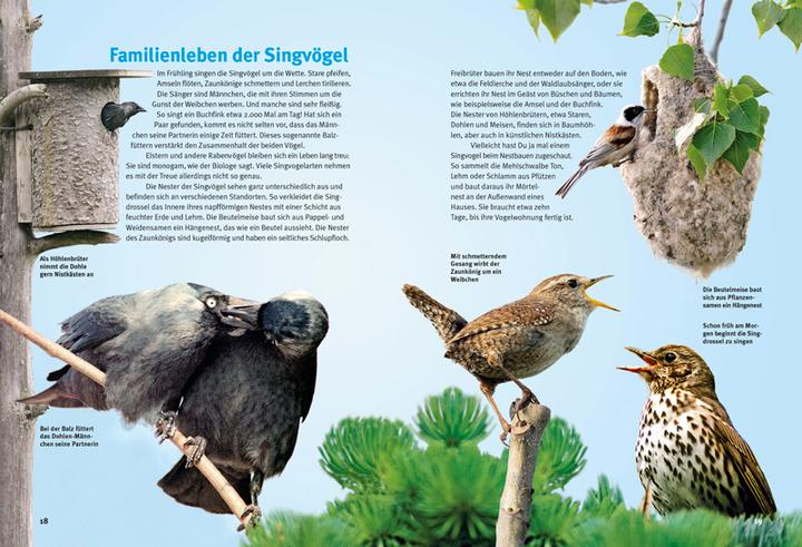 Immagine prodotto Entdecke die Singvögel (Tedesco, Thomas Schmidt, 2015)