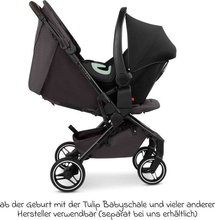 Image du produit ABC Design Ping 3 Trekking Buggy - Reisebuggy ab 6 Monaten bis 22 kg