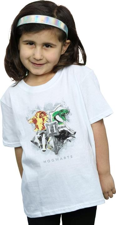 Image du produit - T-shirt HOGWARTS PAINTED CREST - Fille (116)