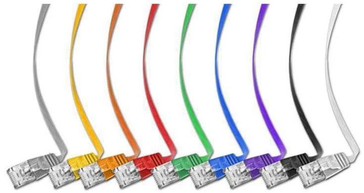 Actual product image Wirewin Network cable (UTP, CAT6, 0.25 m)