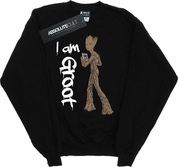 Actual product image Boys Avengers Infinity War Graffiti Groot Sweatshirt (152, 158)