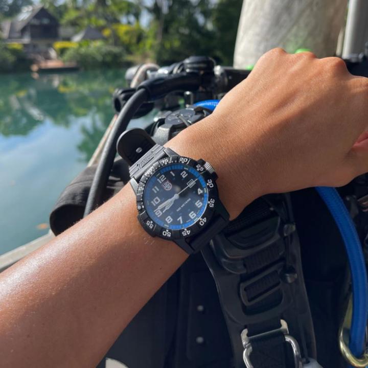 Immagine prodotto Luminox Turgone Dalla Schiena Di Pelle Serie Gian 0320 (Orologio da polso analogico, 44 mm)