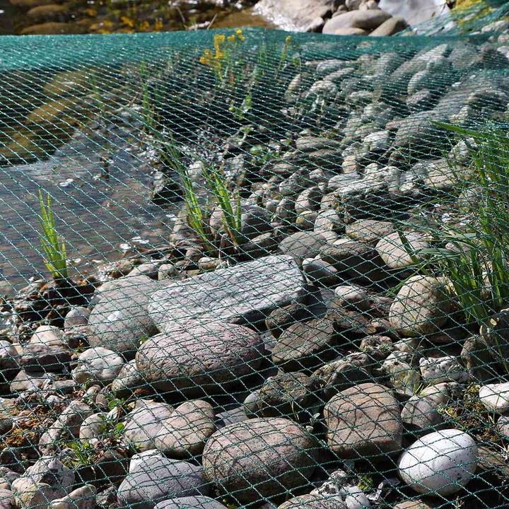 Image du produit Siena Garden Filet de couverture de bassin