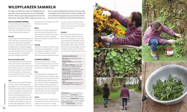 Immagine prodotto Das grosse Buch der Selbstversorgung (Tedesco, James Strawbridge, 2021)