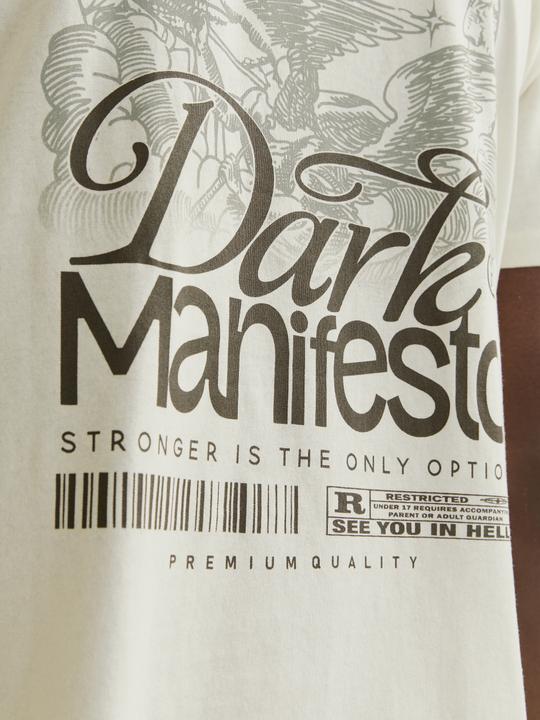 Actual product image Jack & Jones Jordark Tee Ss Crew Neck Ft Styd Aw24 (L)