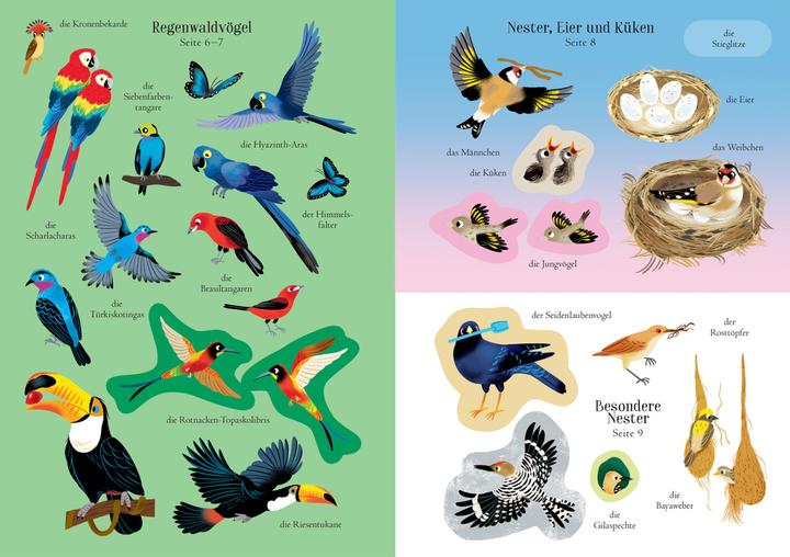 Actual product image My ever-again sticker book: Birds