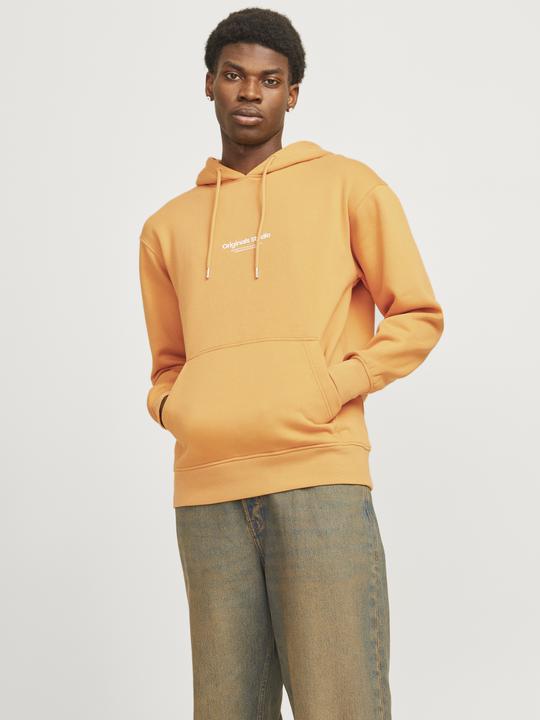 Produktbild Jack & Jones Jorvesterbro Sweat Hood Noos (XXS)