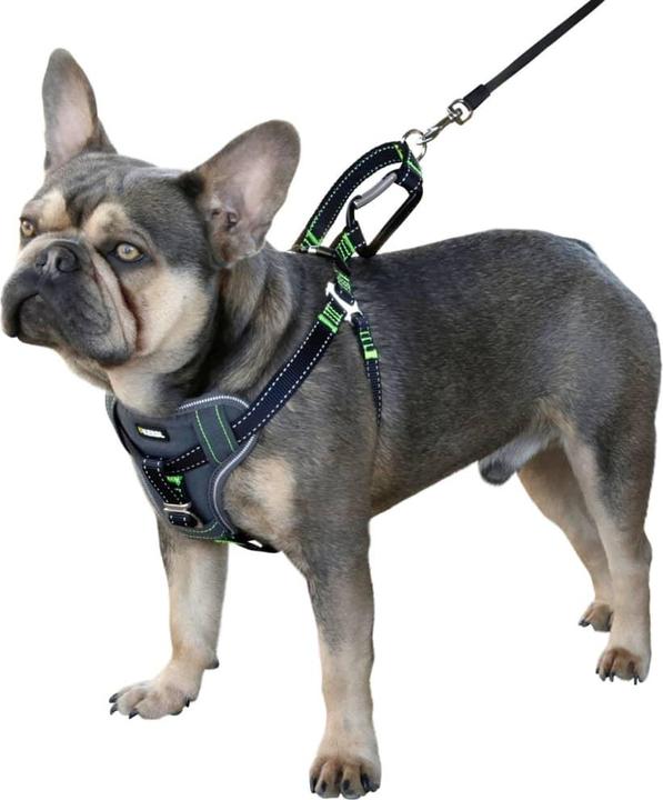 Immagine prodotto Kerbl Autosicherheitsgeschirr (Cane, Chiusura di sicurezza)