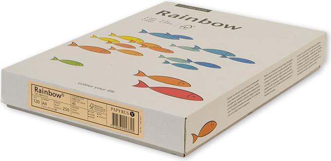 Actual product image Rainbow Copy paper (120 g/m², 250 x, A4)