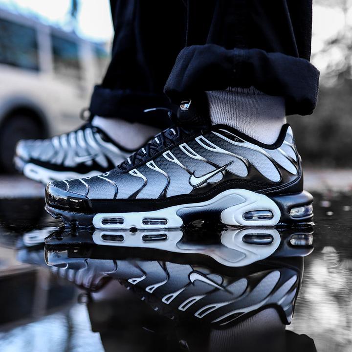 Image du produit Nike Air Max Plus (43)