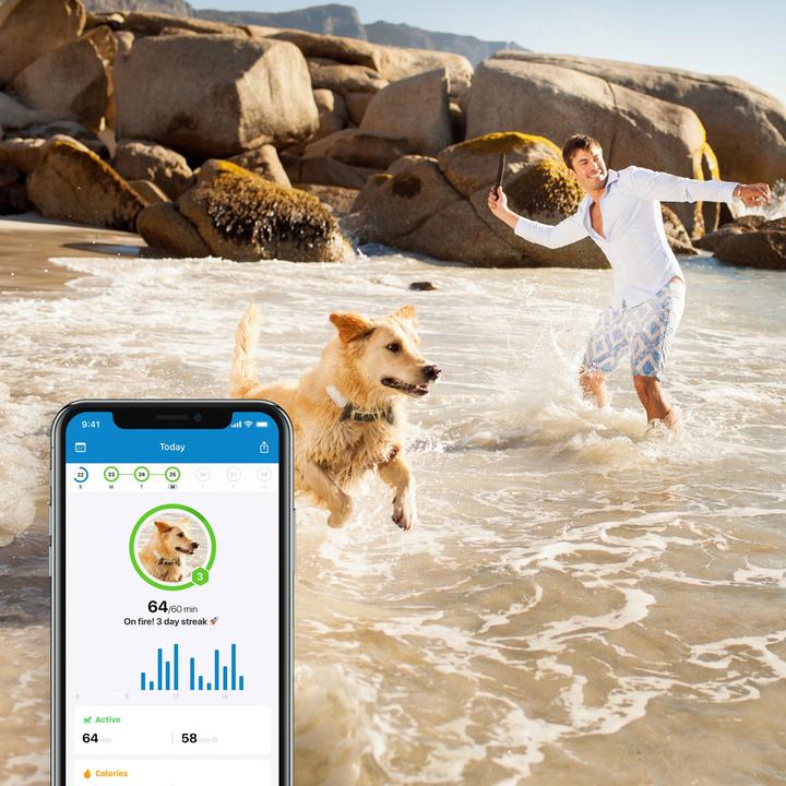 Produktbild Tractive Dog 4 GPS Tracker für Hunde (One Size, Hund, Allgemein)