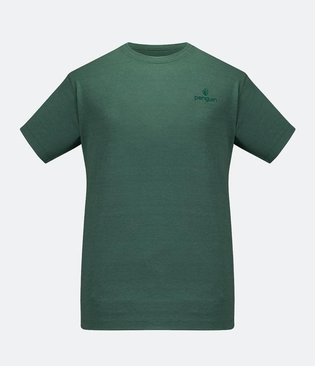 Fender Green