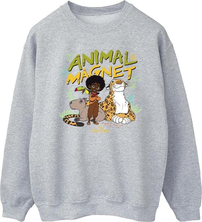 Disney Encanto Animal Magnet Sweatshirt (XL)