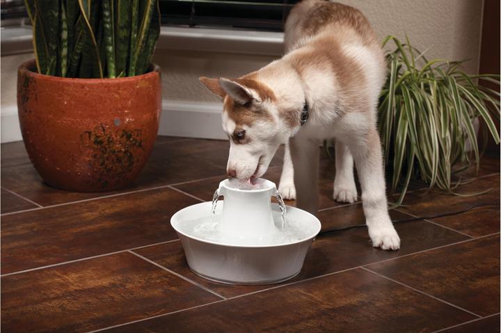 Actual product image Drinkwell PetSafe Avalon (2 l)