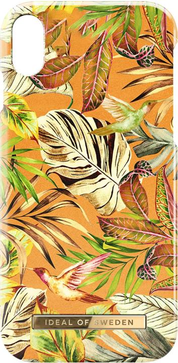 Mango Jungle