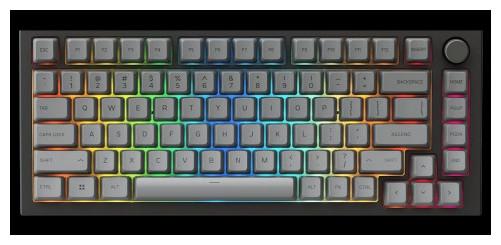 Actual product image Glorious PC Gaming Race GMMK Pro (Cable)