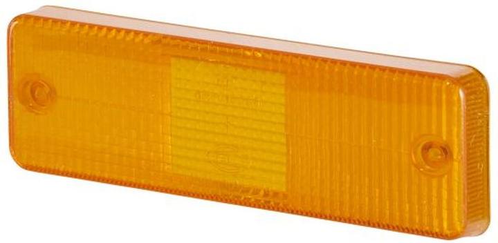 Actual product image Hella lens for CASE