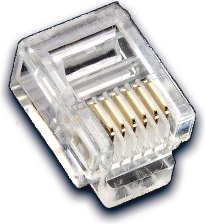 Wirewin Modular plug RJ-12, 6P/6C, 100-pack
