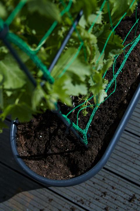 Immagine prodotto Elho Green Basics (78 cm)