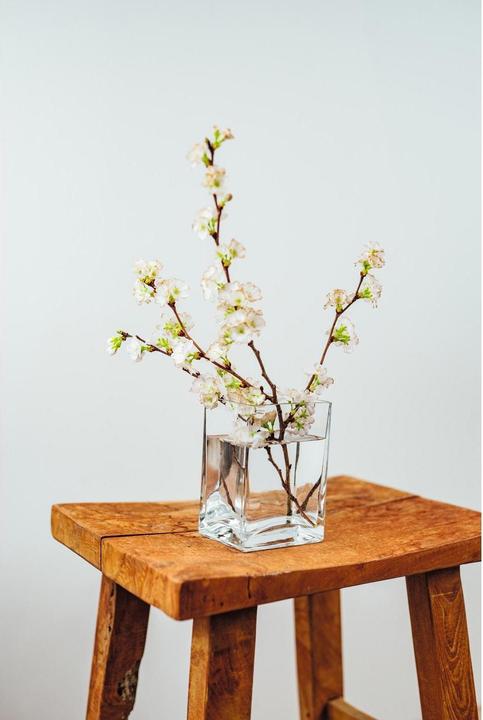 Actual product image Montana Furniture Flower (1 x, 16 x 9 x 11 cm, 0.55 l)