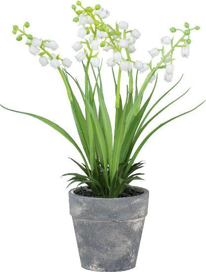 Produktbild Gasper Kunstpflanze Maiglöckchen 22cm