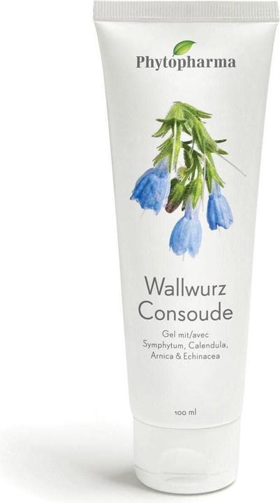 Phytopharma Wallwurz (1 x, 100 ml, 100 g)