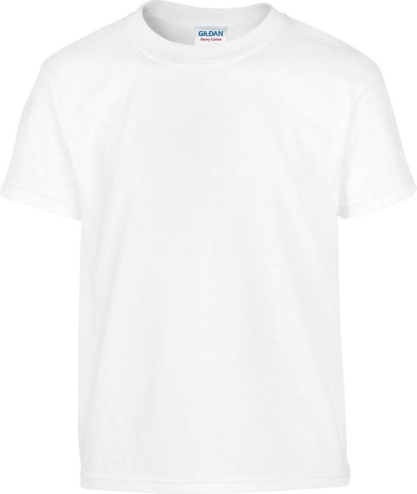 Actual product image Gildan Childrens/Kids Heavy Cotton T-Shirt (L)