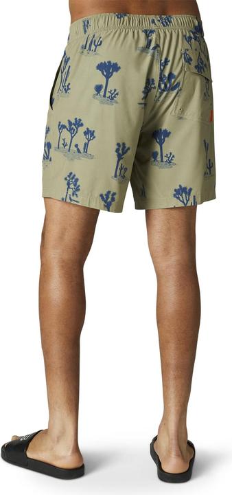 Produktbild Fox Short 22 Beaten Path Volley Grn S (S)