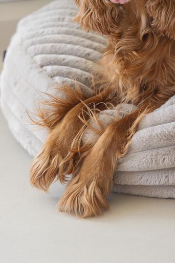 Image du produit Designed by Lotte Coussin de repos Reza (Chien)