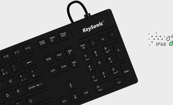 Actual product image KeySonic Ksk 8030 In (CH, Cable)