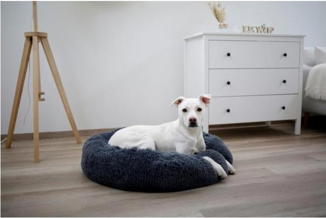 Actual product image Kerbl Fluffy (Dog)
