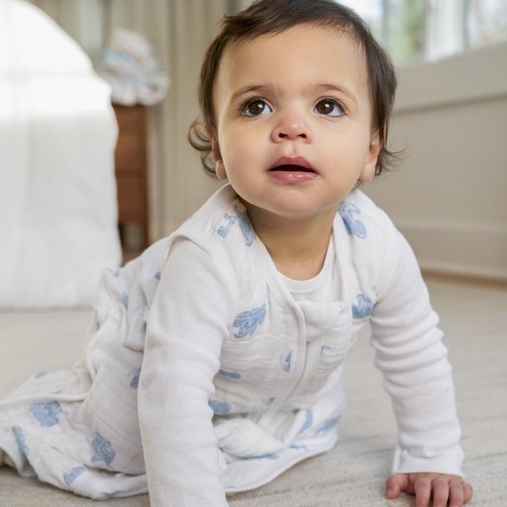 Produktbild aden + anais Leichter Schlafsack (90 cm)