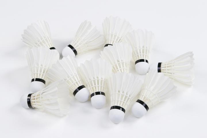 Image du produit Victor Volants de badminton Pro Court