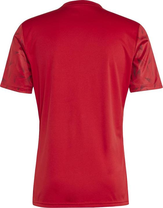 Actual product image adidas Team Icon 25 Jersey (XL)