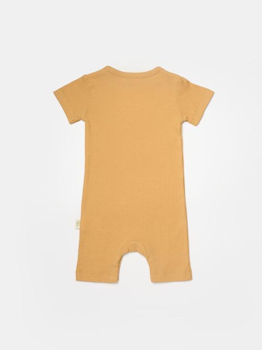 Actual product image BabyCosy 2 Pcs short sleeved Rompers (80)