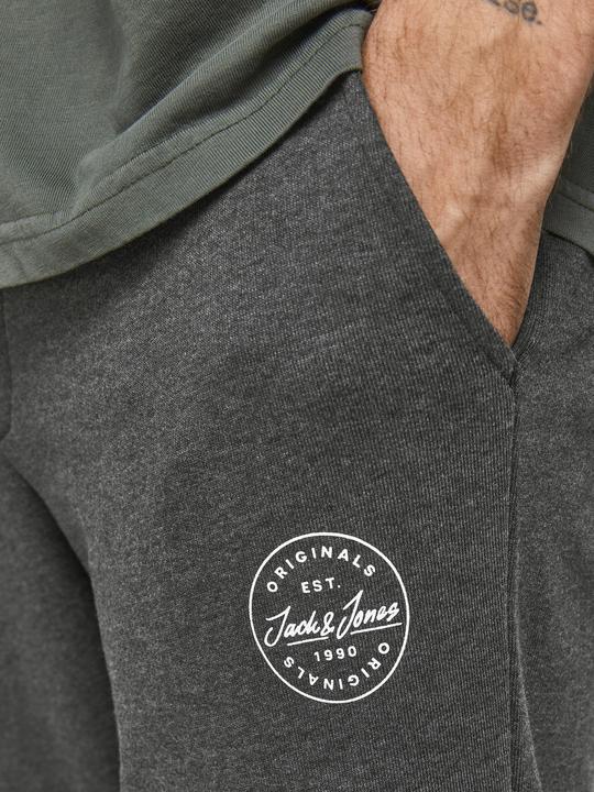Image du produit Jack & Jones Gordon Sweathose (L)