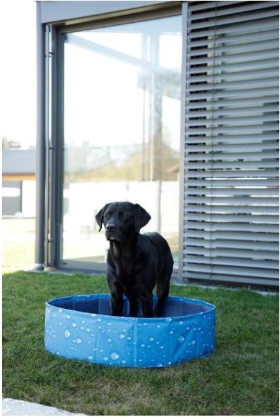 Actual product image Kerbl Dog pool Bubble, paddling pool for dogs, robust scratch-resistant Foldable, 2 gr. (Dog pool)