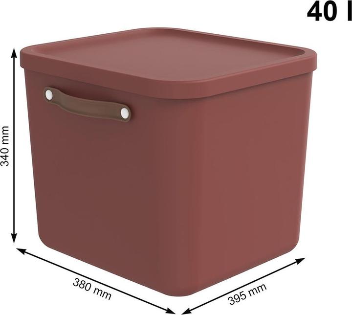 Image du produit Rotho Lot de 2 boîtes de rangement 25 l et 40 l MALOJA (40 l)