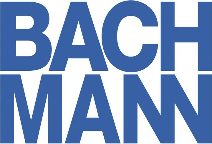 Image du produit Bachmann Custom Modul Ladegerät USB-A 18W, USB-C 22W (22 W)