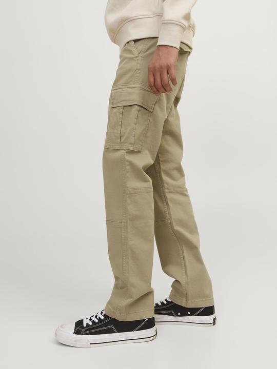 Image du produit Jack & Jones Pantalon cargo JPSTKANE (176)