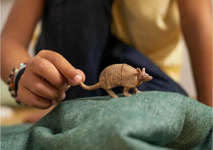 Actual product image Schleich Armadillo