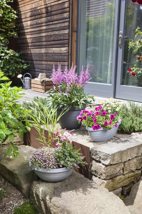 Immagine prodotto Scheurich Country Star (39 cm)