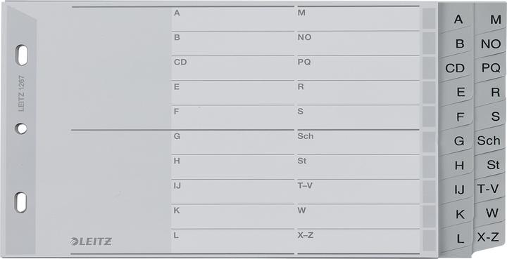 Leitz Register PP grau